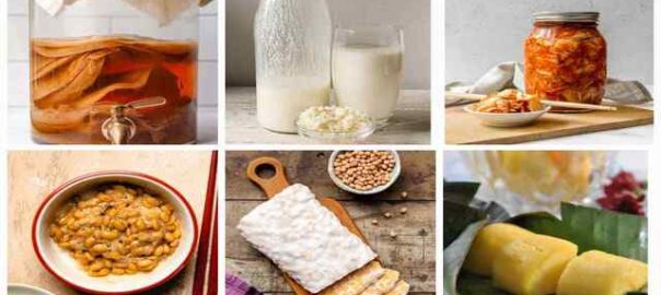 Kuliner Berbasis Fermentasi