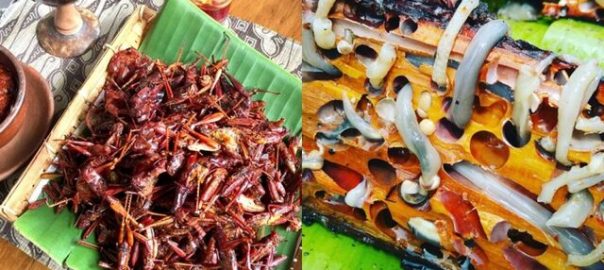 Kuliner Aneh tapi Lezat