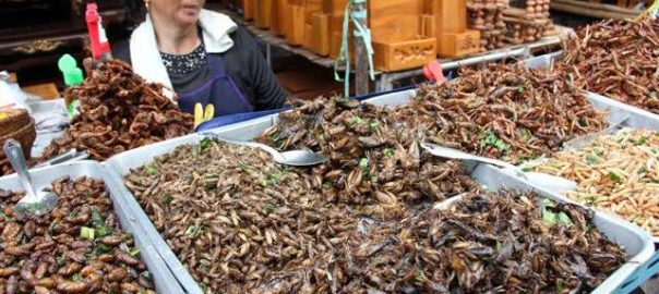Kuliner Ekstrem Malang Tod Thailand